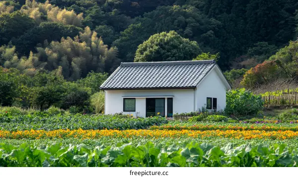 Countryside Home with Flower Fields