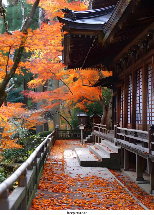 A temple surrounded by colorful autumn leaves