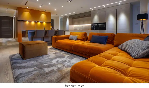 Sophisticated Modern Apartment Interior Design