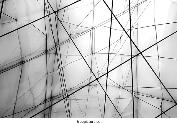 Abstract Black and White Lines Structure