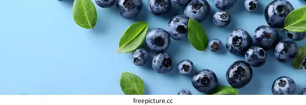 Fresh Blueberries with Green Leaves on a Light Blue Background