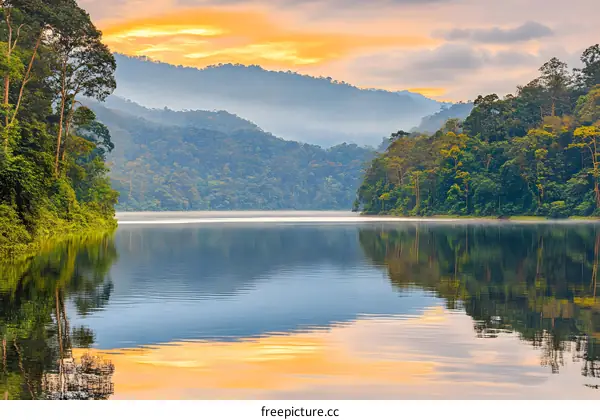 Sunrise Over Still Lake in Forest Landscape