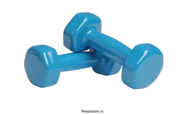 [Transparent Background PNG]Pair of Light Blue Exercise Dumbbells