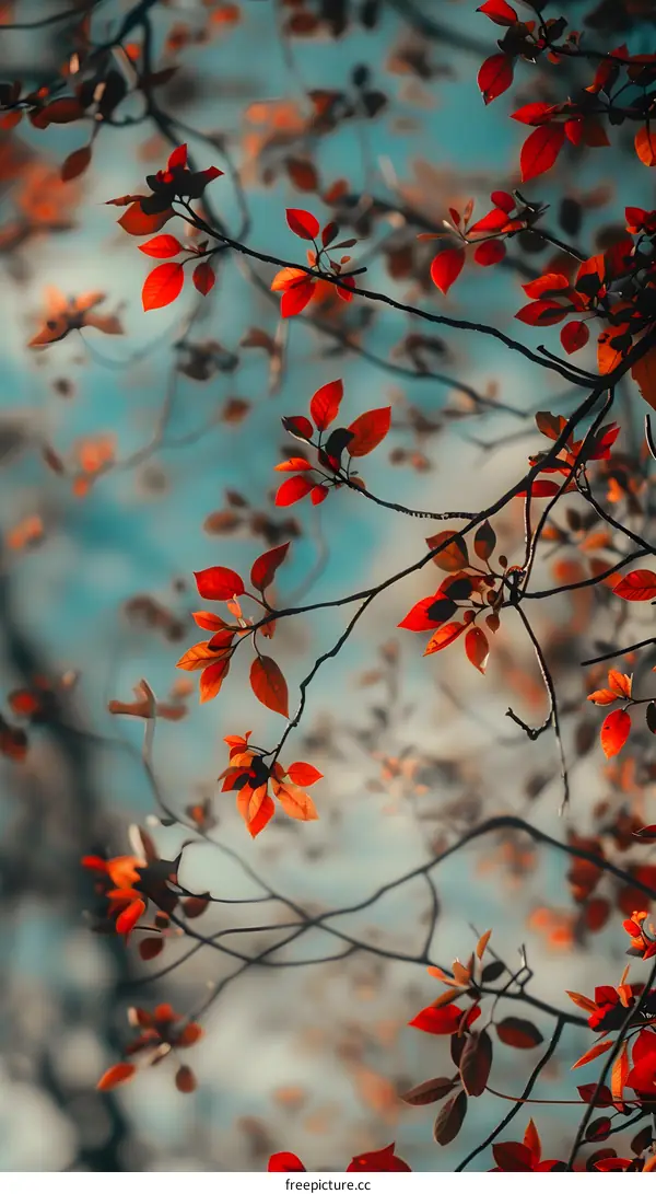 Red Leaves on Branch in Autumn