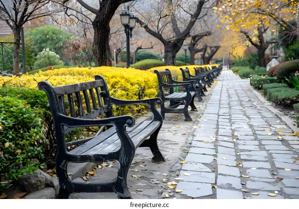 Autumn Garden Pathway with Benches