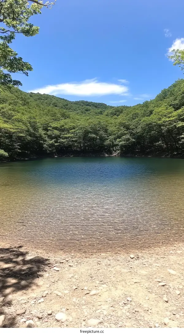 Serene Mountain Lake Scenery