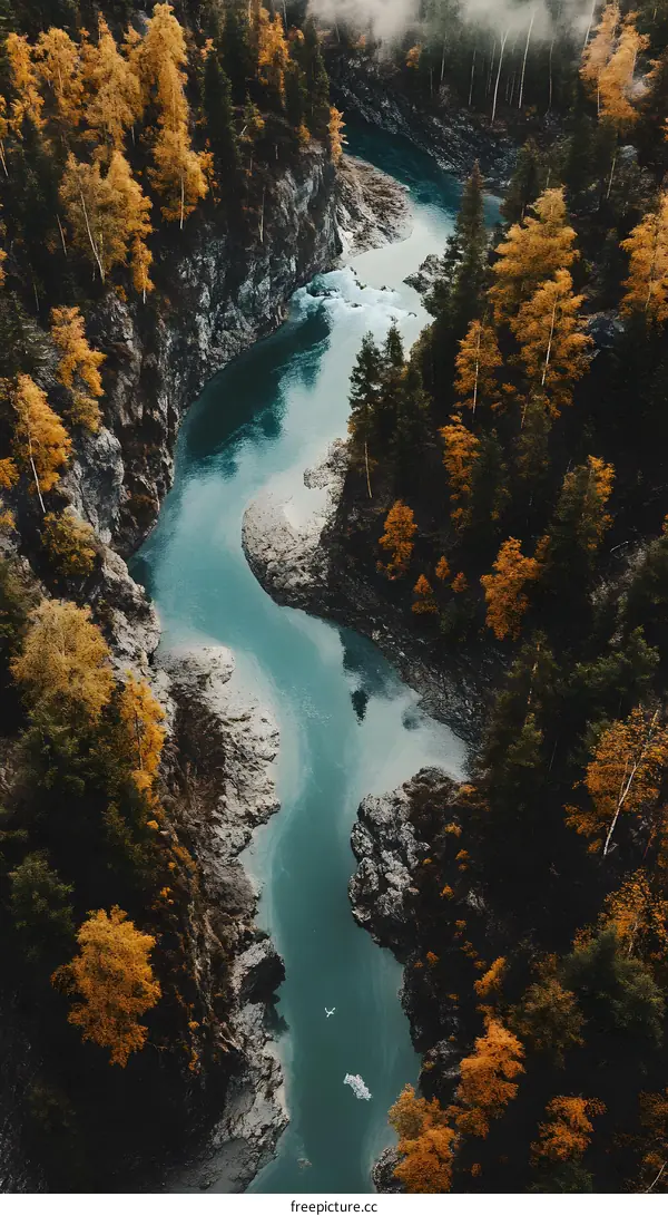 Aerial View of Winding River in Autumn Forest