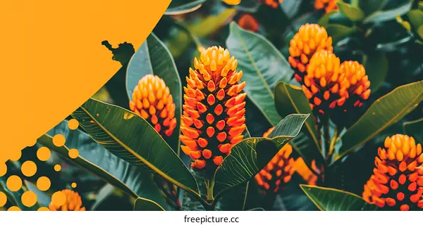 Orange Flowers With Green Leaves Background