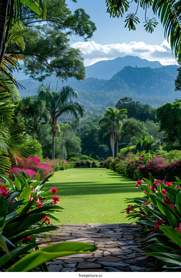 A Tropical Garden Path to the Mountains