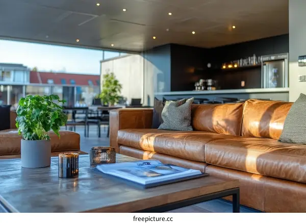 Modern Open-Plan Living Area with Leather Sofa