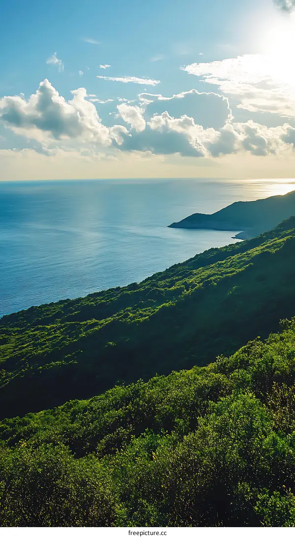Green Hilltop Overlooking the Ocean and Blue Sky with Clouds