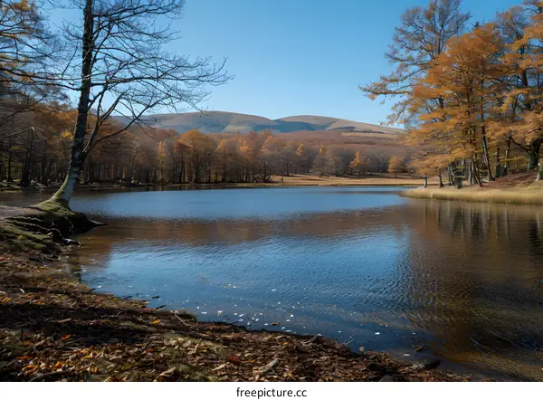 Autumn Lake Landscape