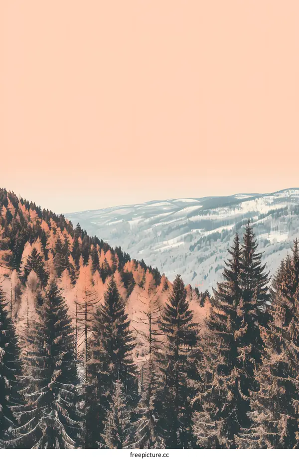 Sunset Over Mountains with Pine Trees