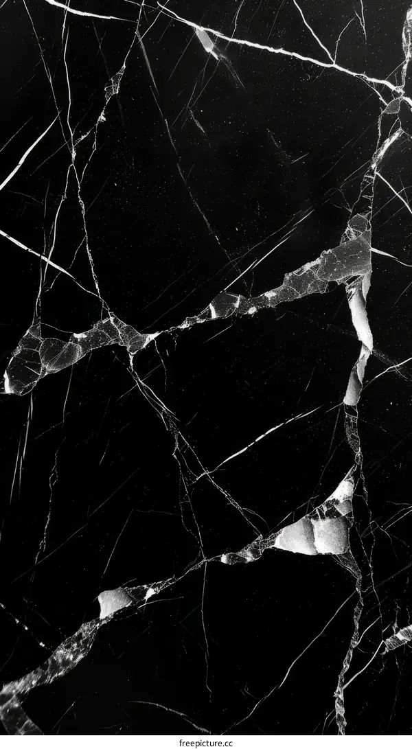 Black marble texture with white veins