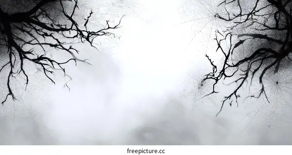 Mysterious Foggy Branches and Cobwebs