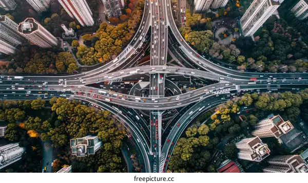 An Expansive Urban Highway Exchange with Lush Greenery and Buildings