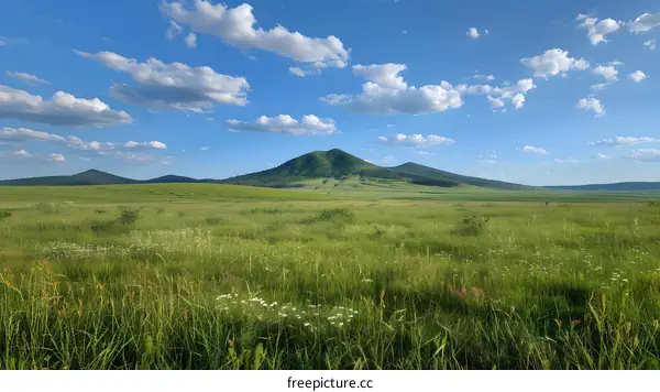 Green Grass Field with Mountains in the Background