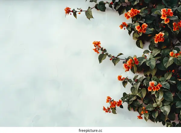 White Wall with Red Flowers Vines