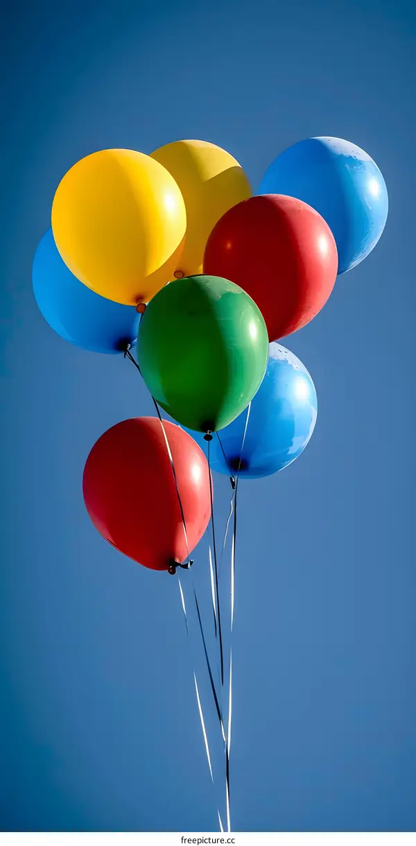 Colorful Balloons Floating in Blue Sky
