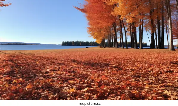 Autumn Foliage by the Lake