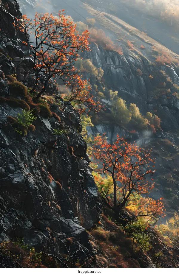 Autumn Foliage on a Rocky Cliffside