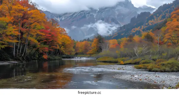 Colorful autumn leaves and mountains in Japan