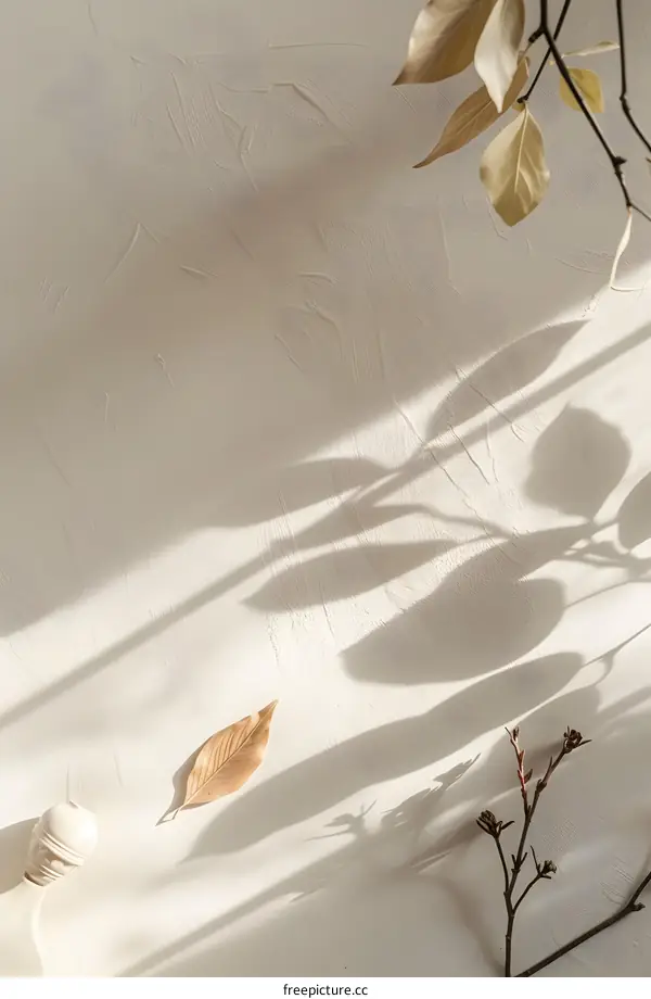 Minimalist Aesthetic Background with Dried Leaves and Shadows