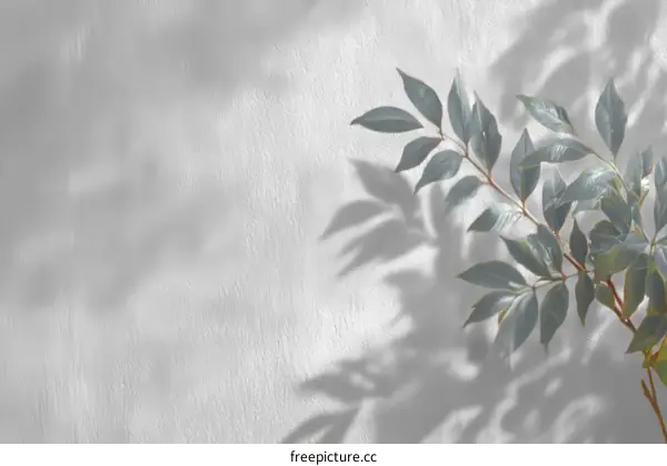 Shadow of Leaves on a Light Gray Wall