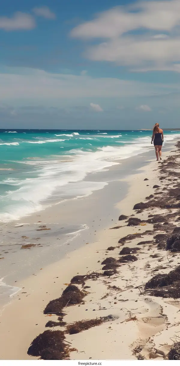 Woman Walking on Sandy Beach with Turquoise Water