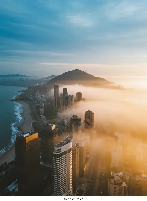 Aerial View of Modern Cityscape with Morning Mist Over Coastal Area