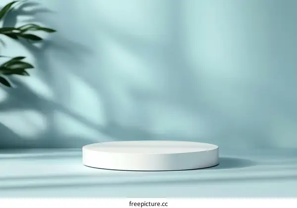 Modern Minimalist Light Blue Product Display