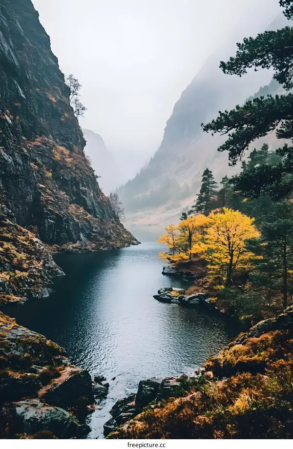Mountain River With Foggy Landscape