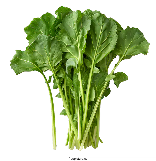 [Transparent Background PNG]Fresh Green Vegetables on White Background
