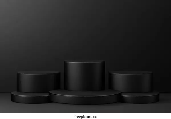 Modern Minimalist Black Podium Display