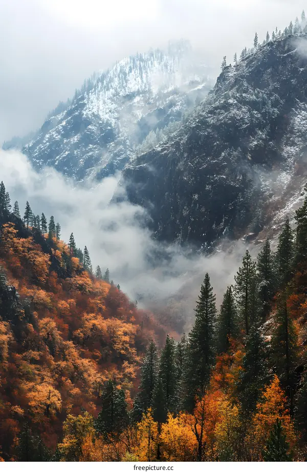 Autumn Mountain Landscape with Fog and Snow