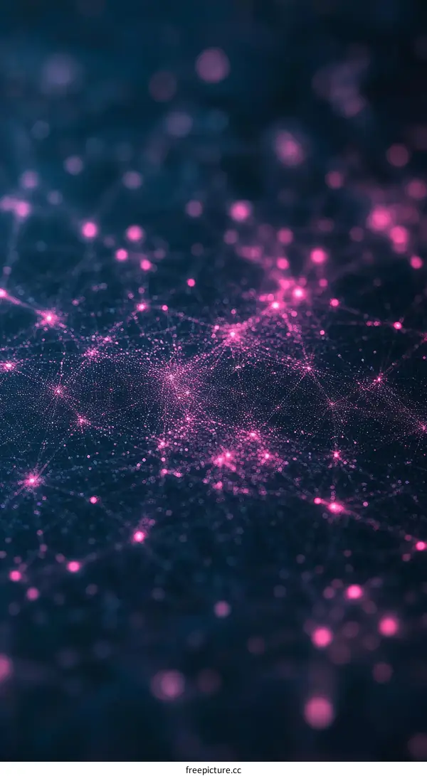 Abstract Network Connection System Design