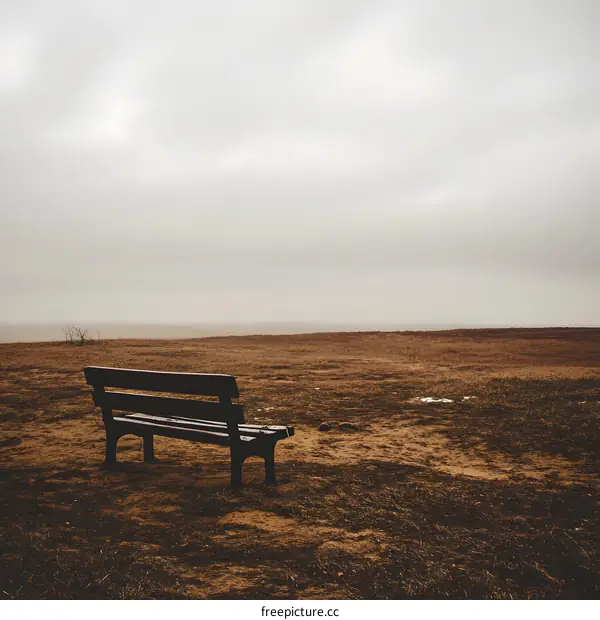 Lonely Bench in Foggy Field