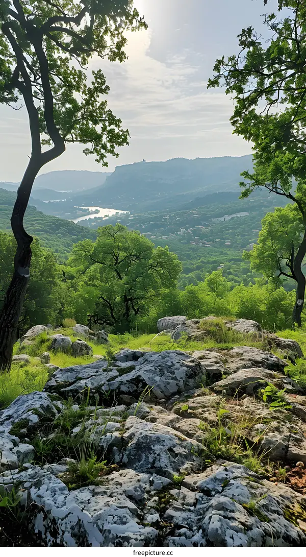 The sun shines through the valley between two mountains covered with green trees