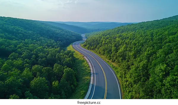 Forest Road Winding Through Mountains