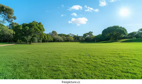 Green Grass Field Under Blue Sky