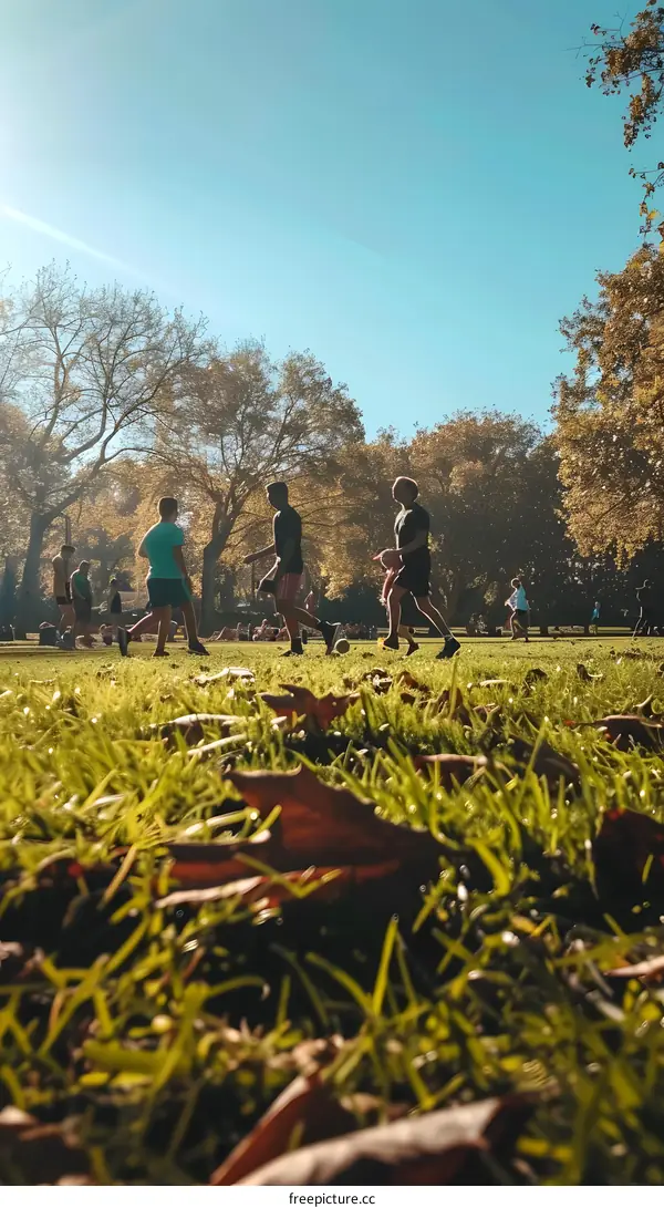 Group of People Playing Soccer in a Park