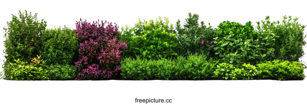 [Transparent Background PNG]Colorful Green Hedges Arrangement Isolated on White Background