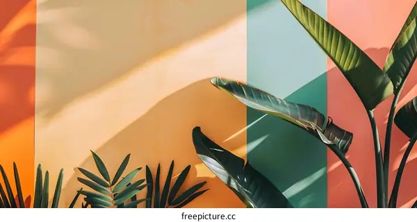 Tropical Leaves with Colorful Wall Background