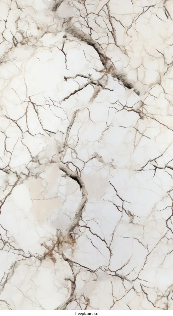 Abstract Cracked Weathered Effect on White Background