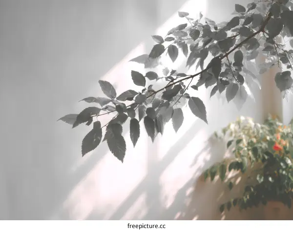 Sunlight Through Leaves and Branches