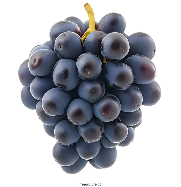 [Transparent Background PNG]Fresh Blue Grapes on White Background