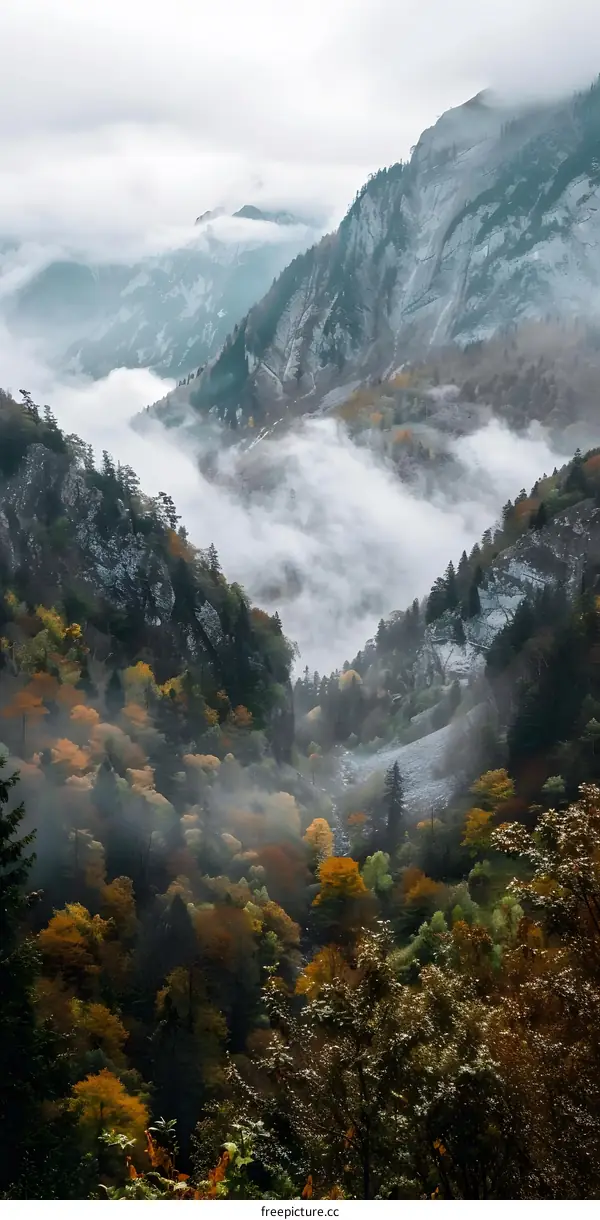 Misty Mountains in Autumn