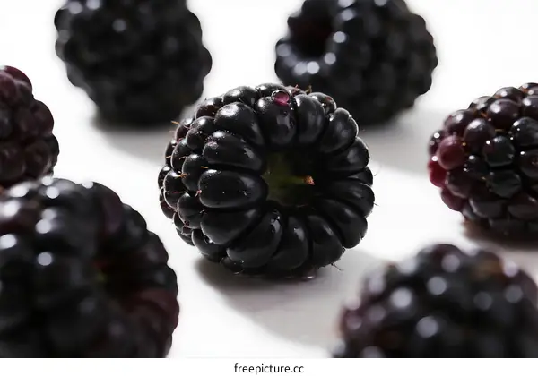Fresh Blackberries Displayed on White Background Close Up View
