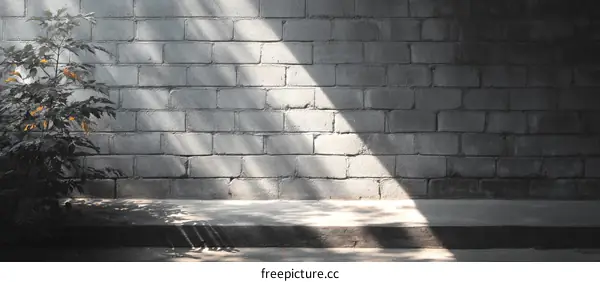 Sunlight Filtering Through Gray Brick Wall