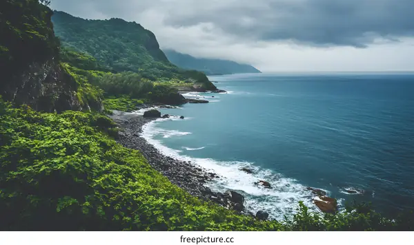 Ocean Coastline With Lush Green Cliff